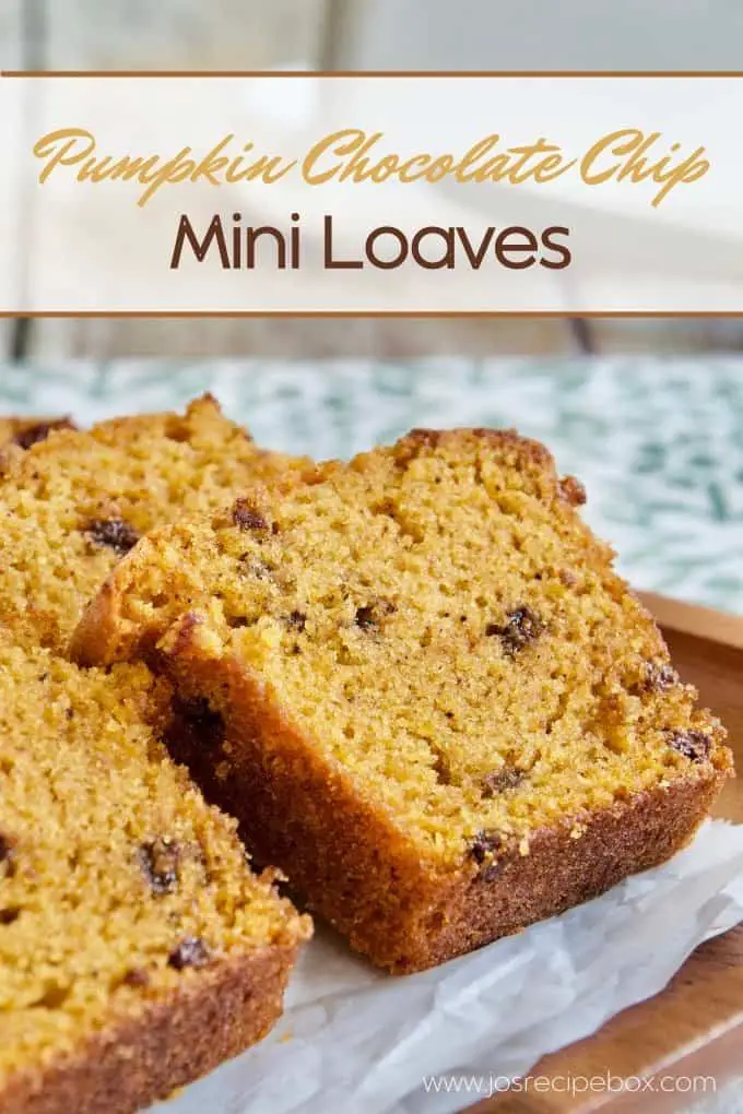 Chocolate Chip Banana Mini Loaves Recipe