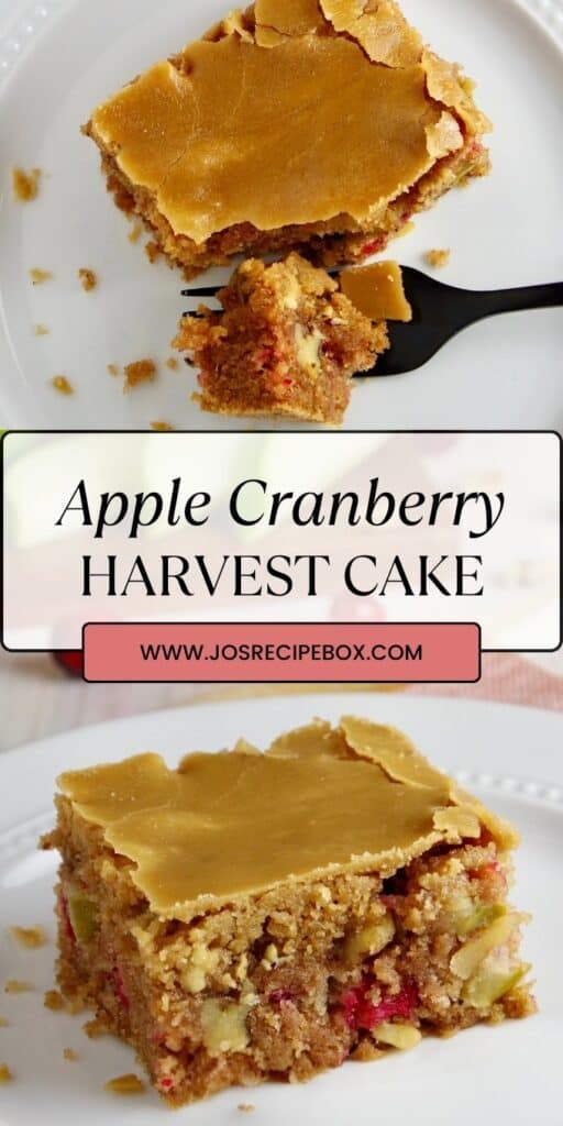 Apple Cranberry Harvest Cake