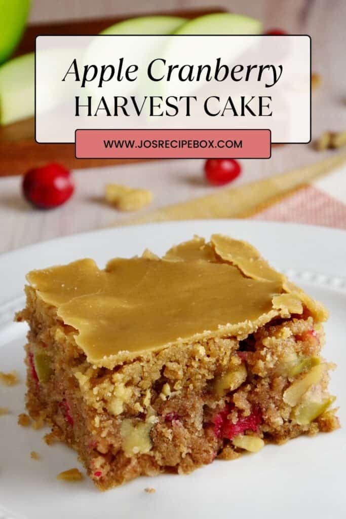 Apple Cranberry Harvest Cake