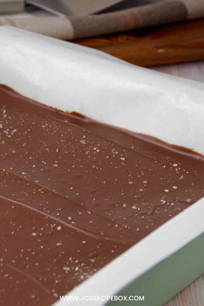 No-Bake Peanut Butter Buckeye Bars