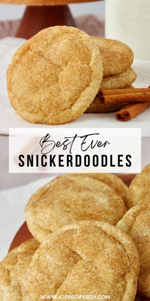 Best Ever Snickerdoodles