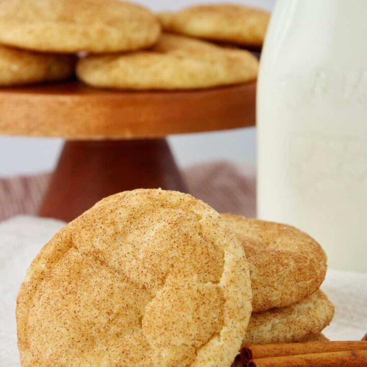 Best Ever Snickerdoodles