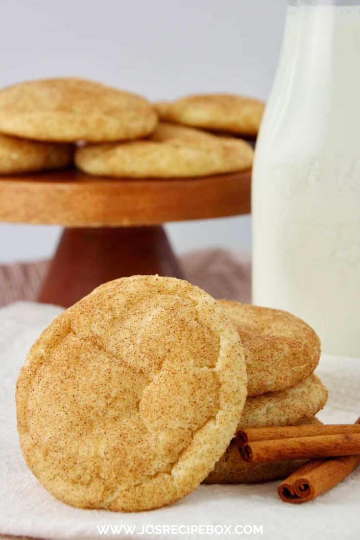 Best Ever Snickerdoodles
