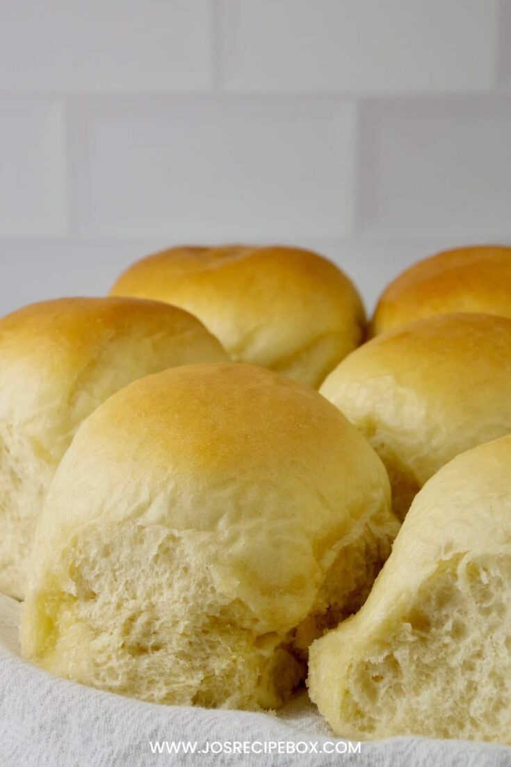 Classic Soft Dinner Rolls